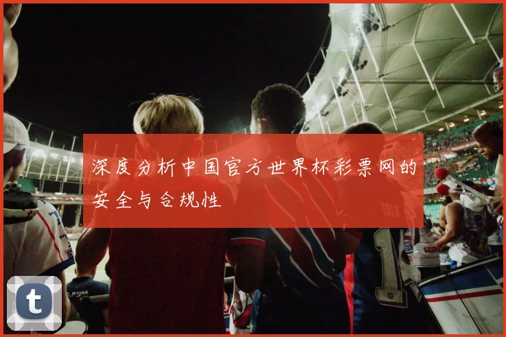 深度分析中国官方世界杯彩票网的安全与合规性